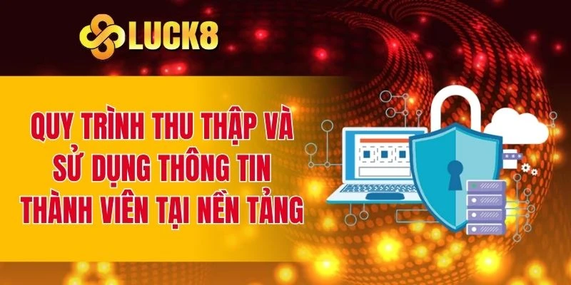 Khám phá về quy trình thu thập và sử dụng thông tin thành viên
